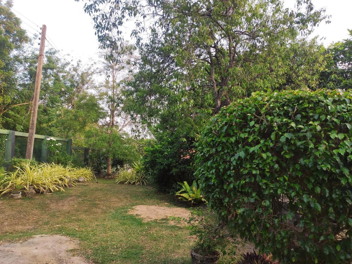 Bird House Homestays Tangalle Eksteriør billede