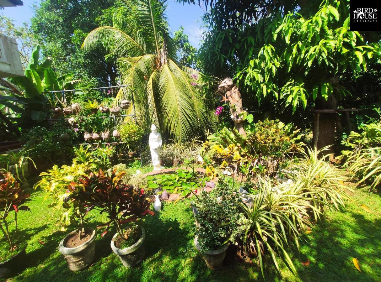Bird House Homestays Tangalle Eksteriør billede
