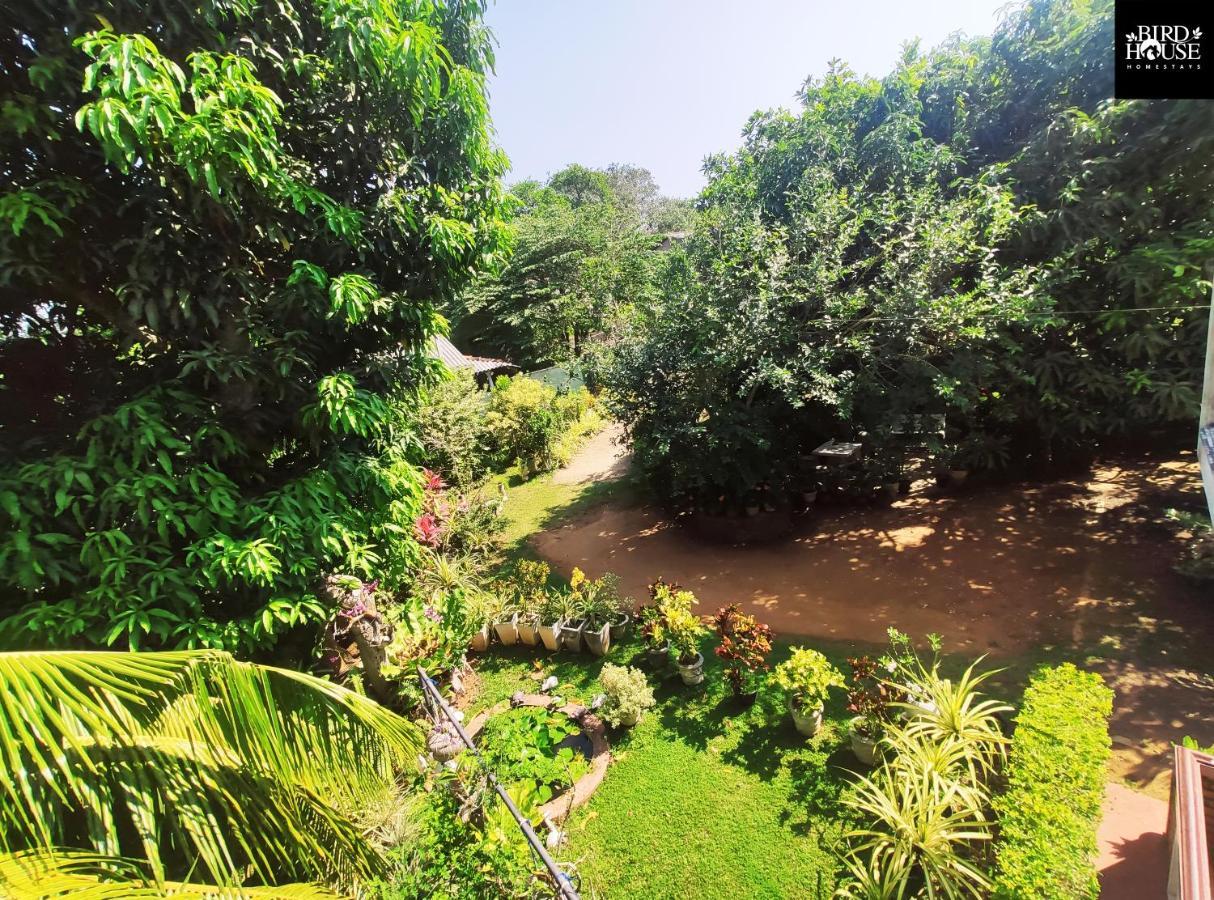 Bird House Homestays Tangalle Eksteriør billede